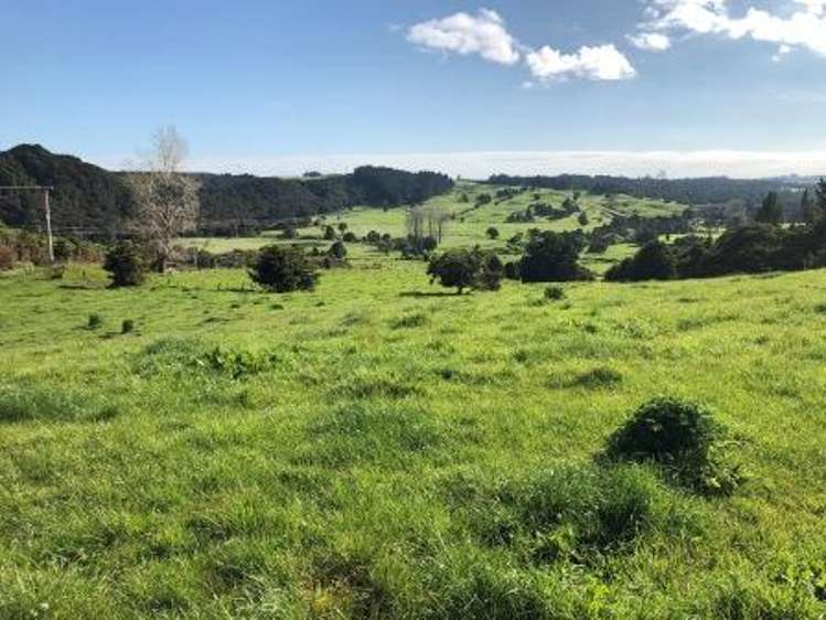 Whakataha Road Waimate North_11