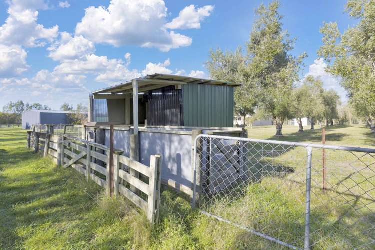 327 Georges Road Amberley_21