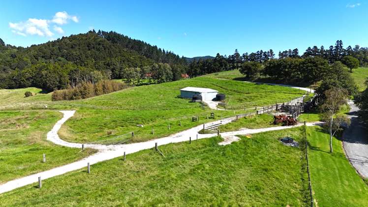 509 Old Woodcocks Road Kaipara Flats_21