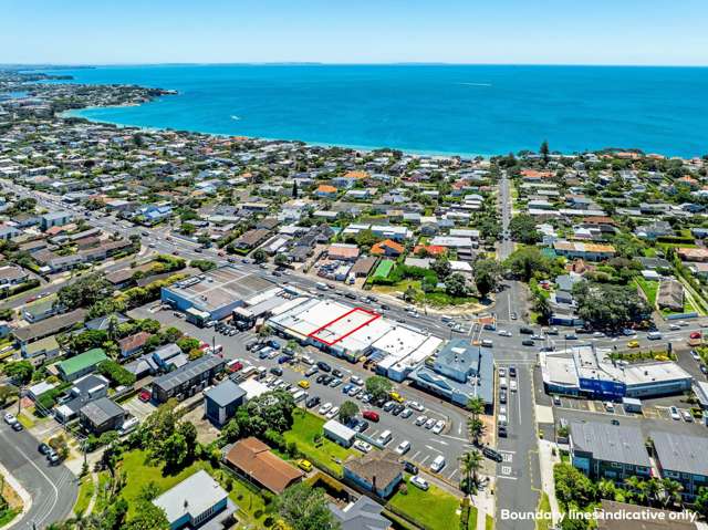 351-353 Lake Road Hauraki_2