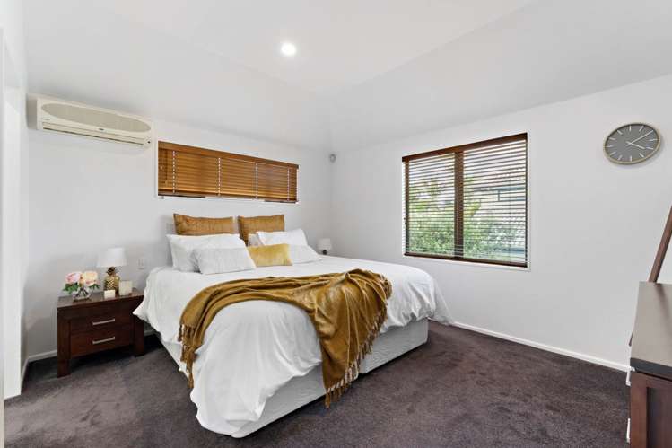 19a Horotutu Road Greenlane_12