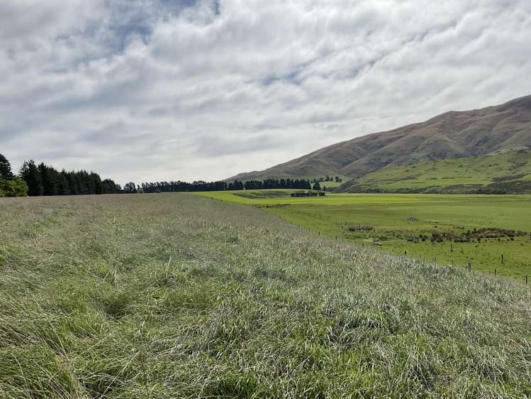 Fairlie Tekapo Road Burkes Pass_20