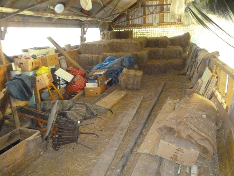 1375 Mcclure Street Pirongia_13