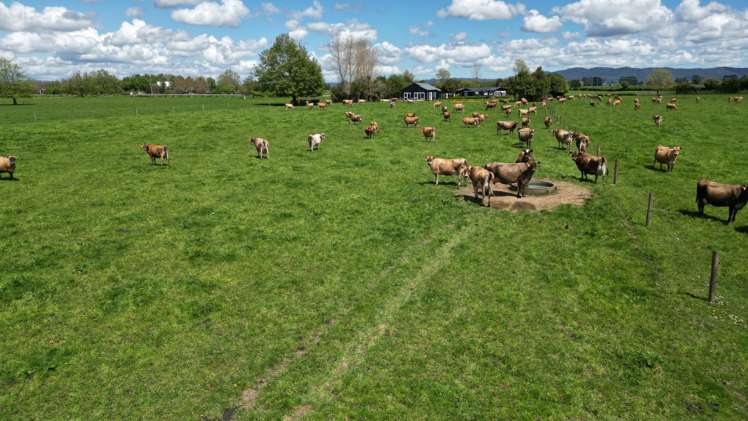 1664a Gordonton Road Taupiri_6