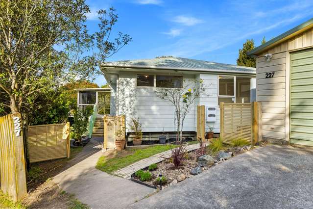 227 Glengarry Road Glen Eden_1