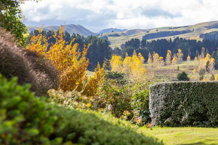 91 Falloon Settlement Road Kaituna_21