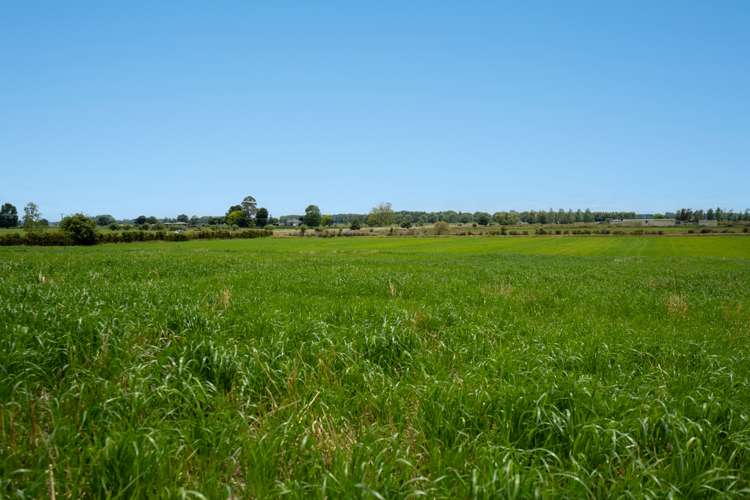 3126 Cambridge Road Rotoorangi_1