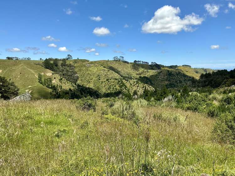 Lot 2 & 4 DP558999 & DP560071 Dill Road Kaipara Flats_7