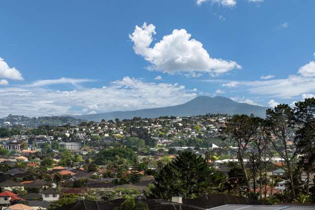 45 Armstrong Farm Drive East Tamaki Heights_1