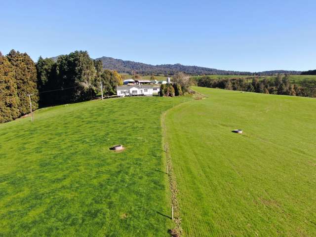 480 O'Shea Road Pirongia_3