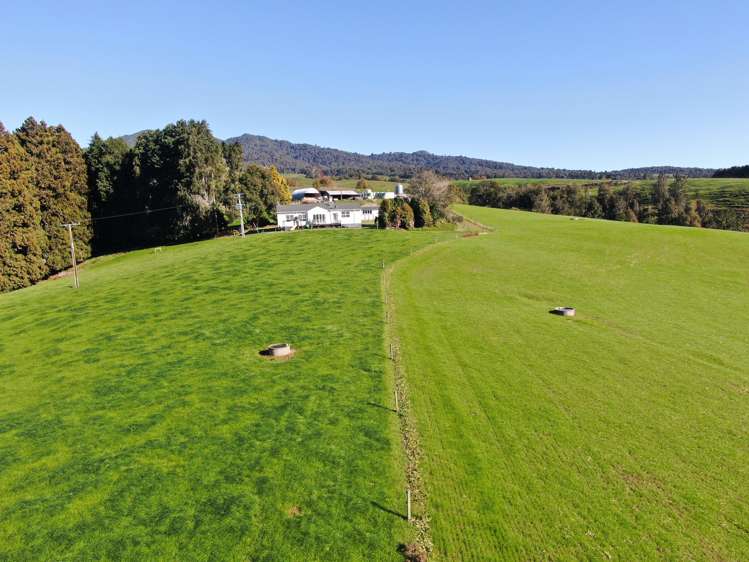 480 O'Shea Road Pirongia_3