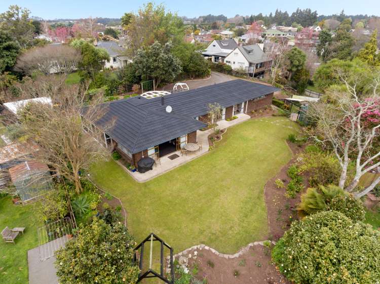 137 Boucher Avenue Te Puke_16