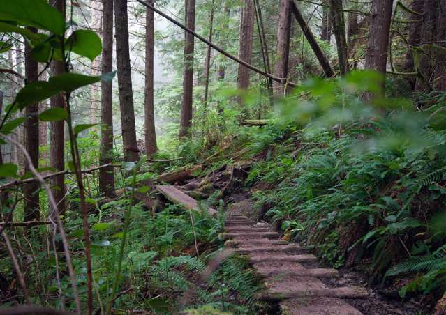 Address withheld Wellington Central_4