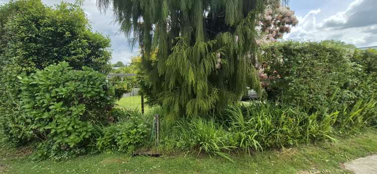 4/6 Muirend Avenue Tokoroa_33