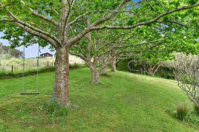 17 Davidson Road Helensville_3