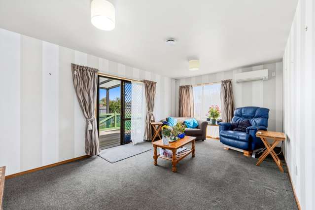 79 Chelsea Street Linwood_4