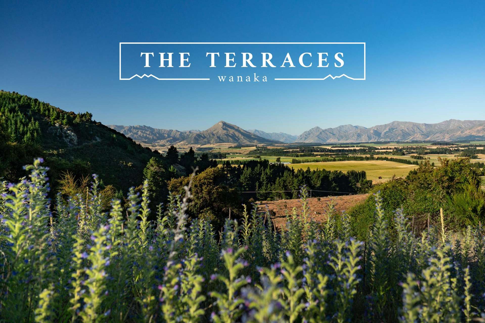 The Terraces, Mount Barker Road Wanaka_0