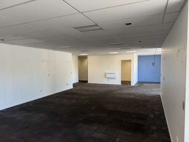 82 Riddiford Street Newtown_2