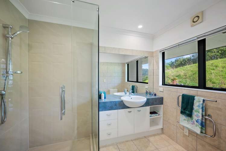 384 Pine Valley Road Dairy Flat_34