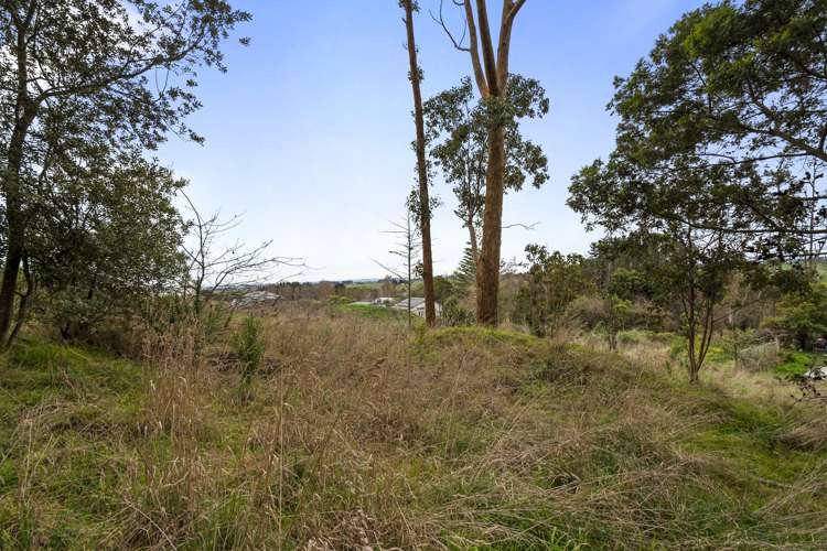 111 Hastings Street Halcombe_18