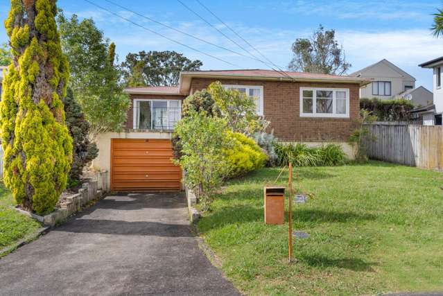 3 Linden Street Mt Roskill_2