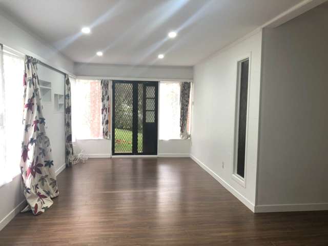 293A Hillsborough Road Mt Roskill_1