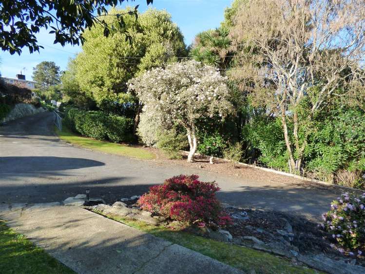 69 Gradara Avenue Otorohanga_21