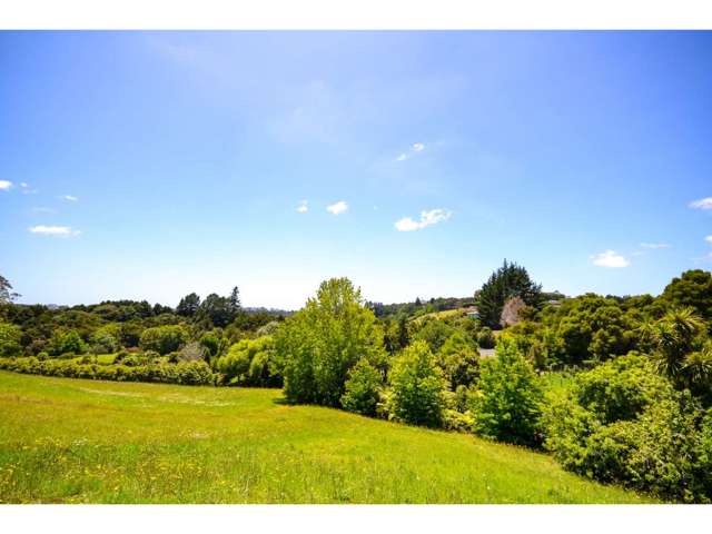 Blue Gum Lane Kerikeri_2