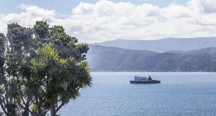 129 Nevay Road Miramar_12