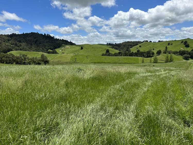 1228a Bull Road Paparoa_27