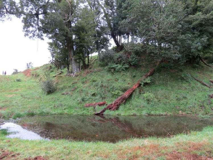 747a No 4 Road Te Puke_12