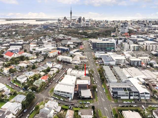 19 Williamson Avenue Grey Lynn_2