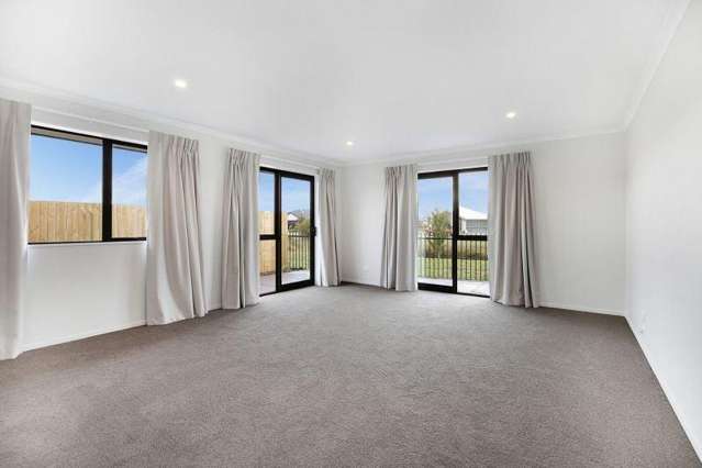 29 Ellesmere St Marshland_3