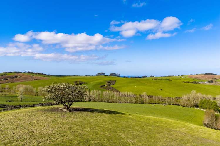Ocean View Road and Busbridge Road Te Arai_13