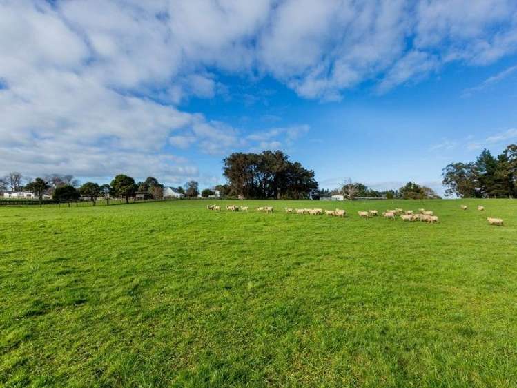 23 Hawkestone Road Marton_1