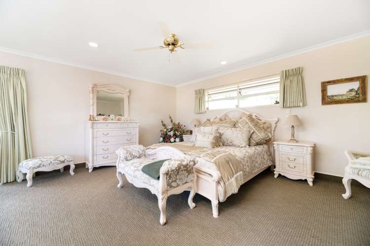 585d Mclaren Falls Road Kaimai_9