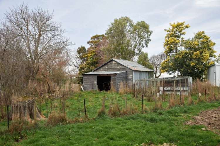 98 Fosters Road Cheviot_19