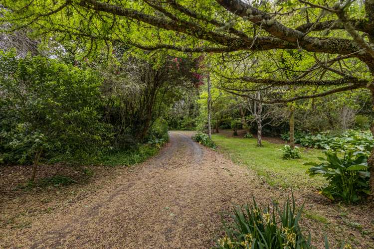 290 Paihia Road Kawakawa_16