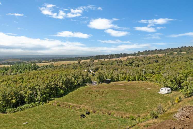 1878 Mangorei Road Mangorei_7