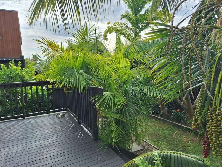 5/9 Wright Road Point Chevalier_9