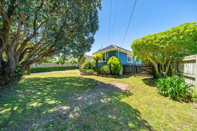 45 Black Beech Street Birchville_20