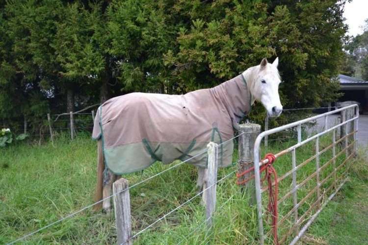 1253 State Highway 10 Kerikeri_3