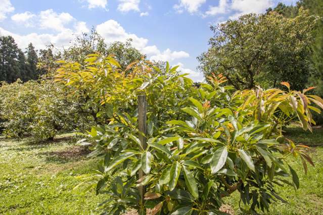232 Wharawhara Road Aongatete_2