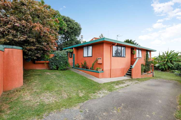 144 Grandview Road Nawton_13