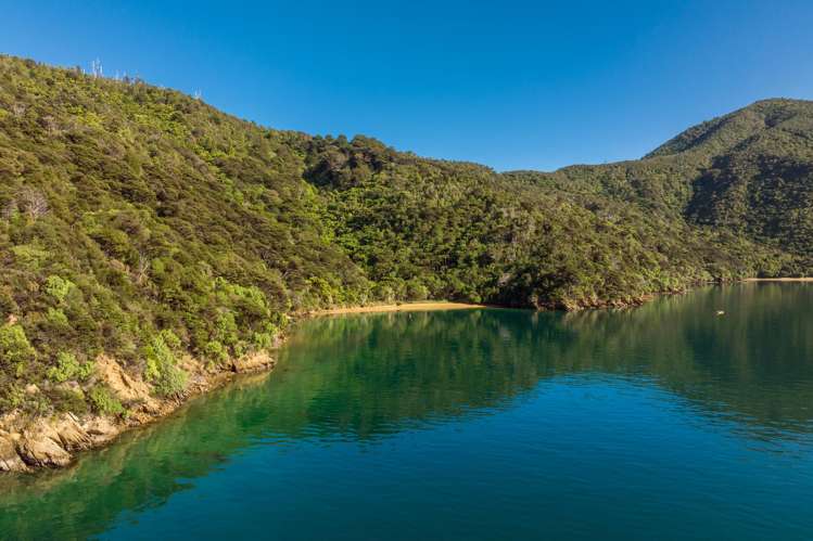 Cherry Bay, Ruakaka Bay Marlborough Sounds_13