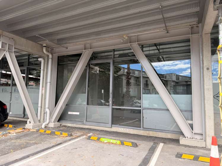 23 Edwin Street Mt Eden_8