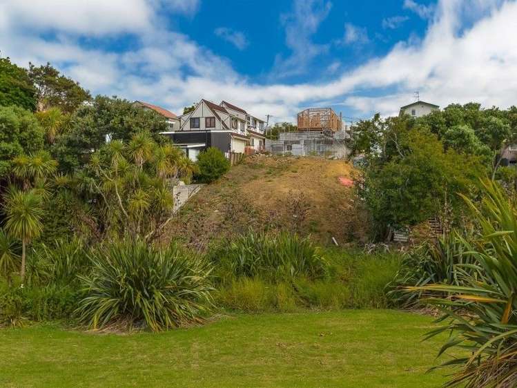 33b Johnstone Street Point Chevalier_12