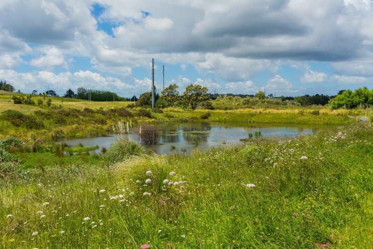 16 Aeropark Drive Dairy Flat_15