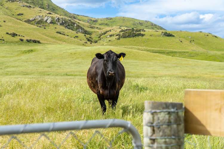 23 Klifden Road Oturehua_23