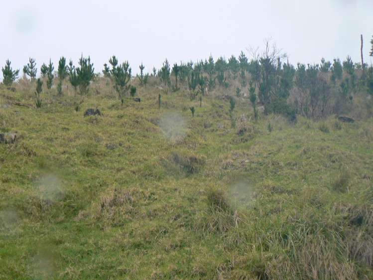 LOT 6 Iwitaua Road Mangamuka_11